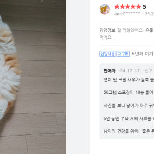 그린벨씨푸드플러스 고양이사료5kg 솔직 후기 | 실제 사용자 리뷰 총정리 - 상품 이미지 4