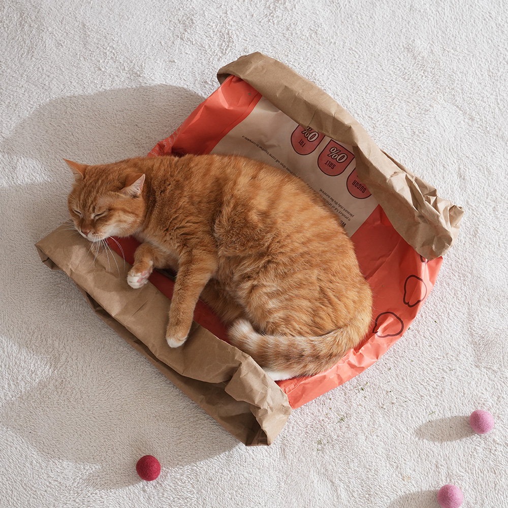 정글몬스터 모모의 크런치백 고양이 바스락 숨숨집