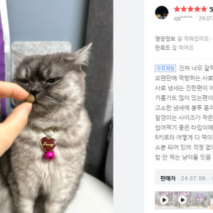 그린벨씨푸드플러스 고양이사료5kg 솔직 후기 | 실제 사용자 리뷰 총정리 - 상품 이미지 2
