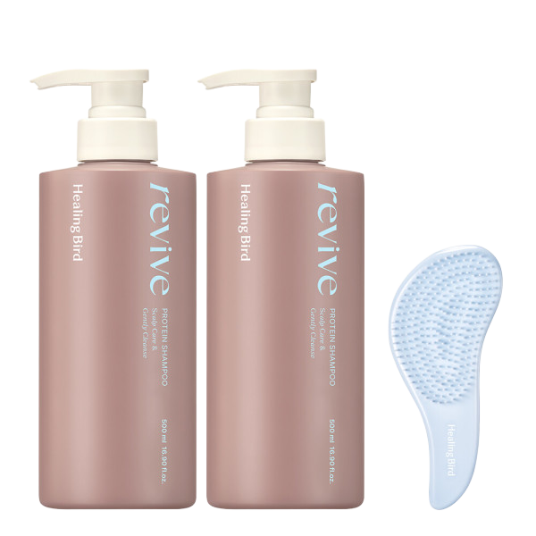 힐링버드 리바이브 단백질 샴푸 500ml 2개 헤어브러쉬 : 라운엠