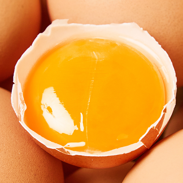 난각번호1번 유정란, 산지도매센타 계란, 무항생제 계란 후기, 맛있는 유정란 추천, 저렴한 유정란 구매