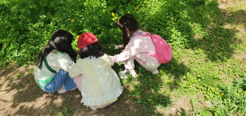[우면산] 소똥구리 생태학교와 함께하는 행복 가득한 숲체험 | 9~11월 by 소똥구리생태학교 - 상세 이미지 2