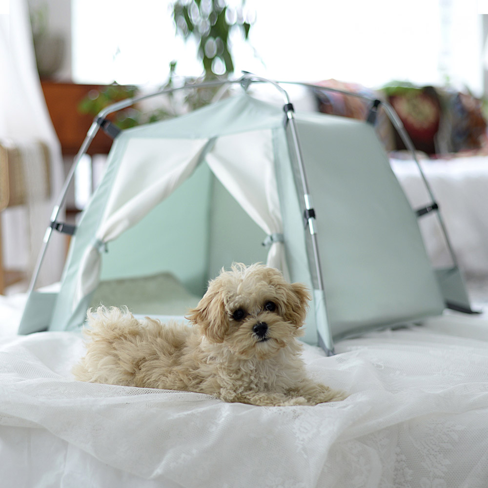 따수미펫 강아지집 애견 텐트 하우스 고양이 숨숨집 소형견 대형견 민트, S