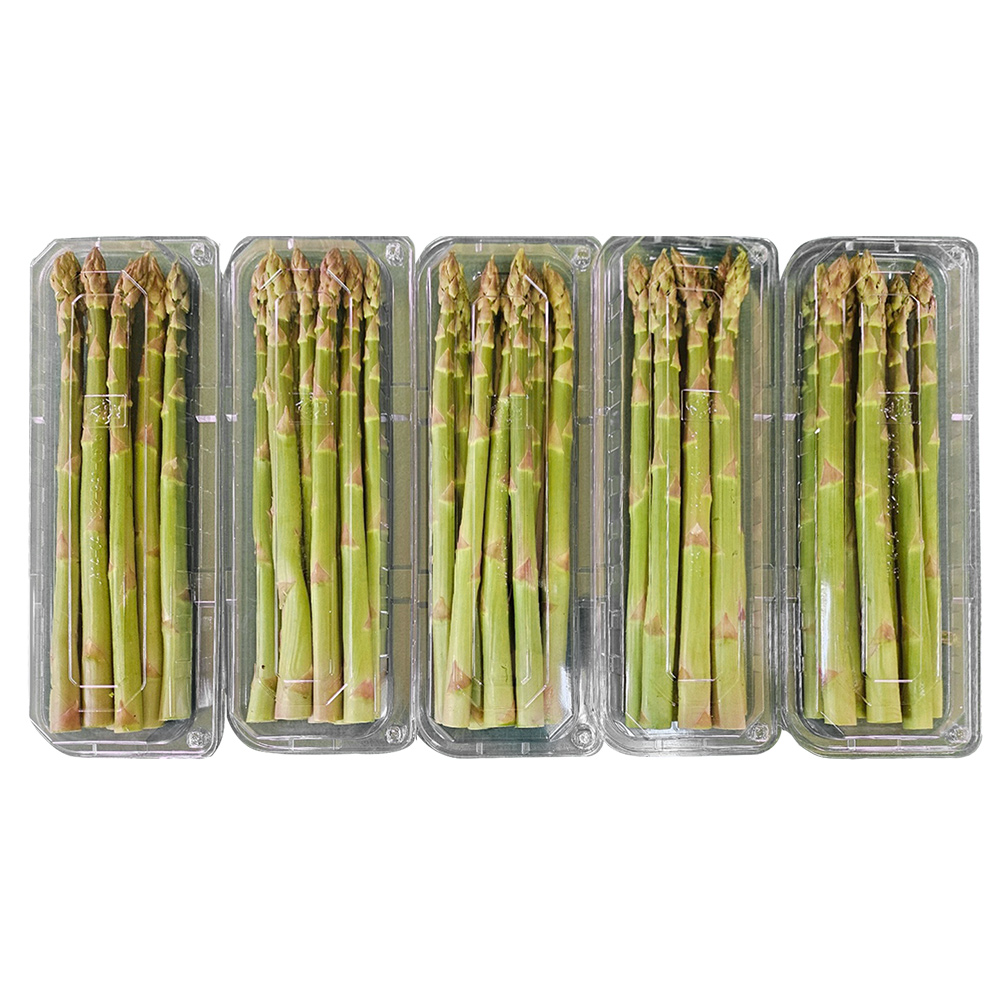 국내산 생 아스파라거스 1kg 이미지 6