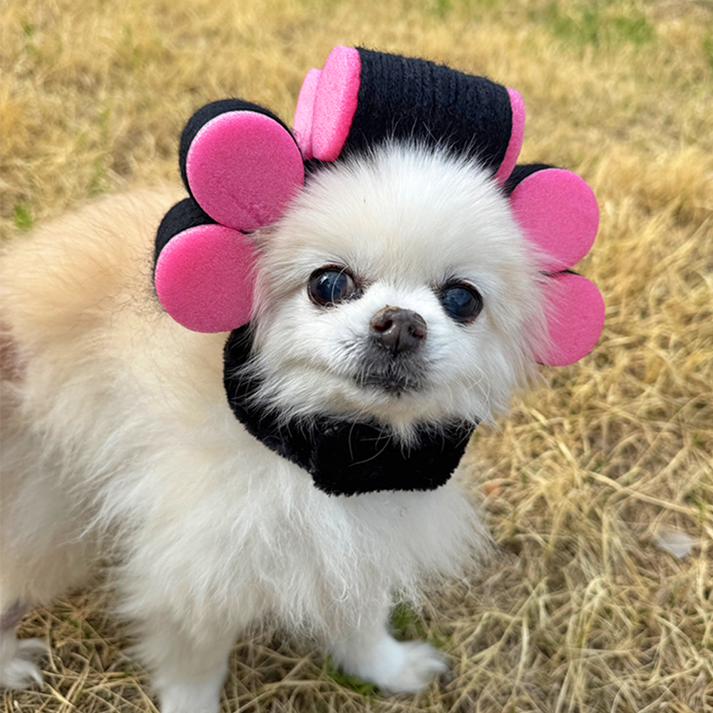 파마 헤어롤 고데기 펫 모자 강아지 고양이 가발 머리띠 할로윈 코스튬 옷 - 상세 이미지 4