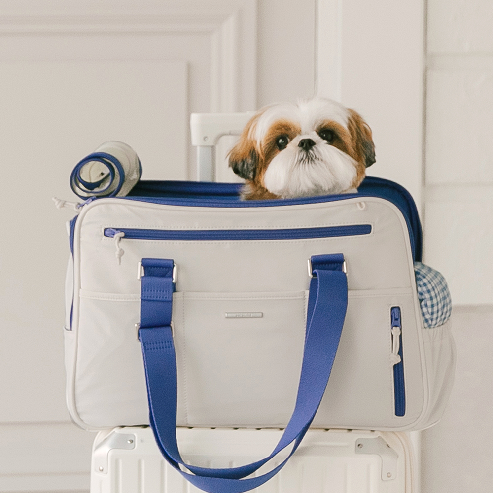 강아지이동가방 강아지슬링백 캐리어 모션라인 단품M