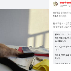 그린벨씨푸드인도어캣 5kg 고양이헤어볼 저알러지사료 솔직 후기 | 실제 사용자 리뷰 총정리 - 상품 이미지 4