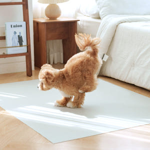 개놀자 슬림 실리콘 강아지 롤매트 애견 고양이 미끄럼방지 매트 아이보리,... 솔직 후기 | 실제 사용자 리뷰 총정리 - 상품 이미지 2