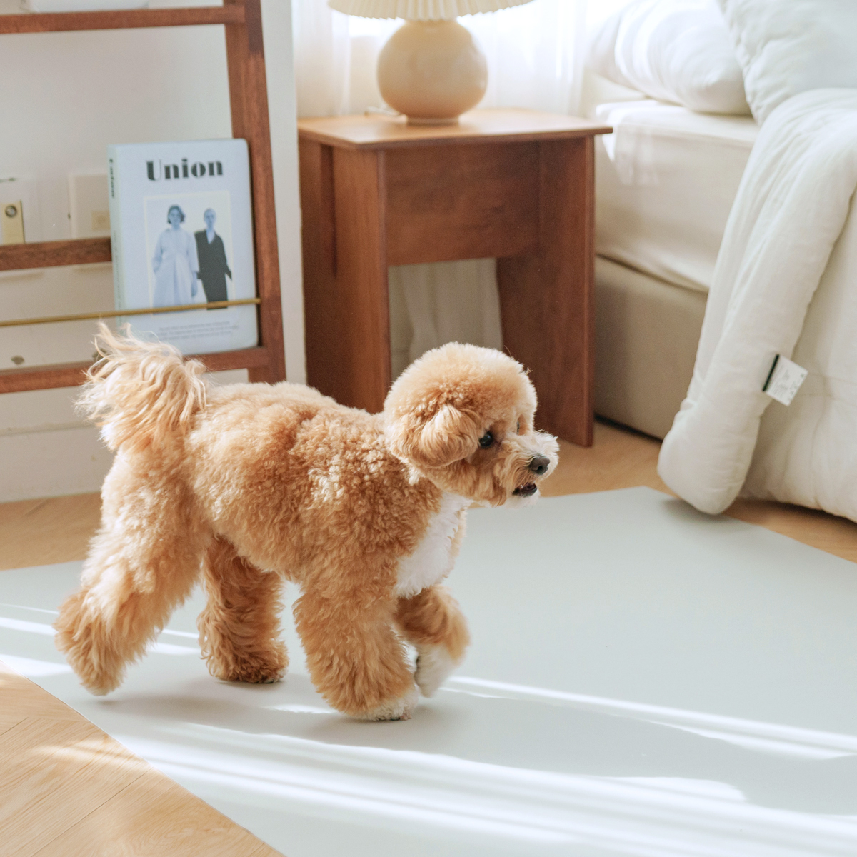 개놀자 슬림 실리콘 강아지 롤매트 애견 고양이 미끄럼방지 매트 아이보리, 140x300cm