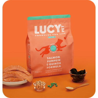 [샘플] 고양이사료 연어 호박 퀴노아 장건강 그레인프리 프리바이오틱스사료 황금변 루시펫 이미지 2