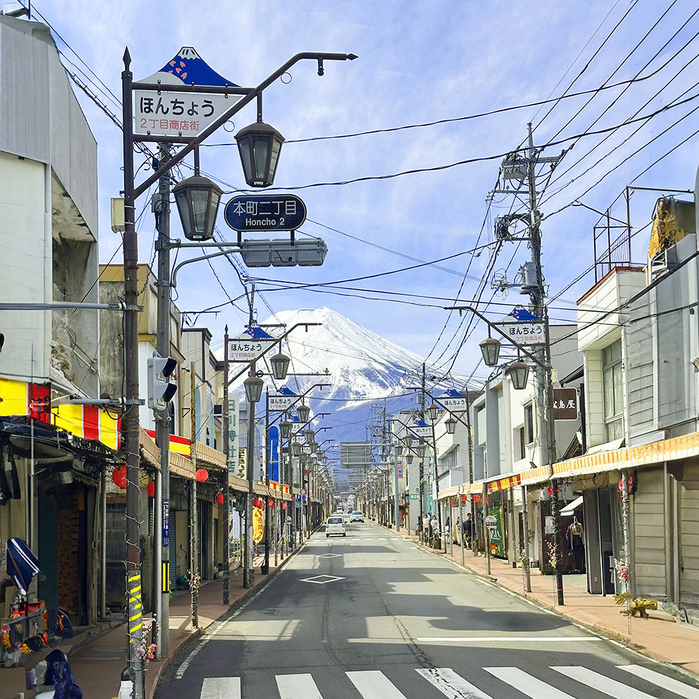 도쿄 후지산 포토스팟 가와구치코 오이시&센겐 공원&오시노 핫카이&로손 편의점 1일 버스투어