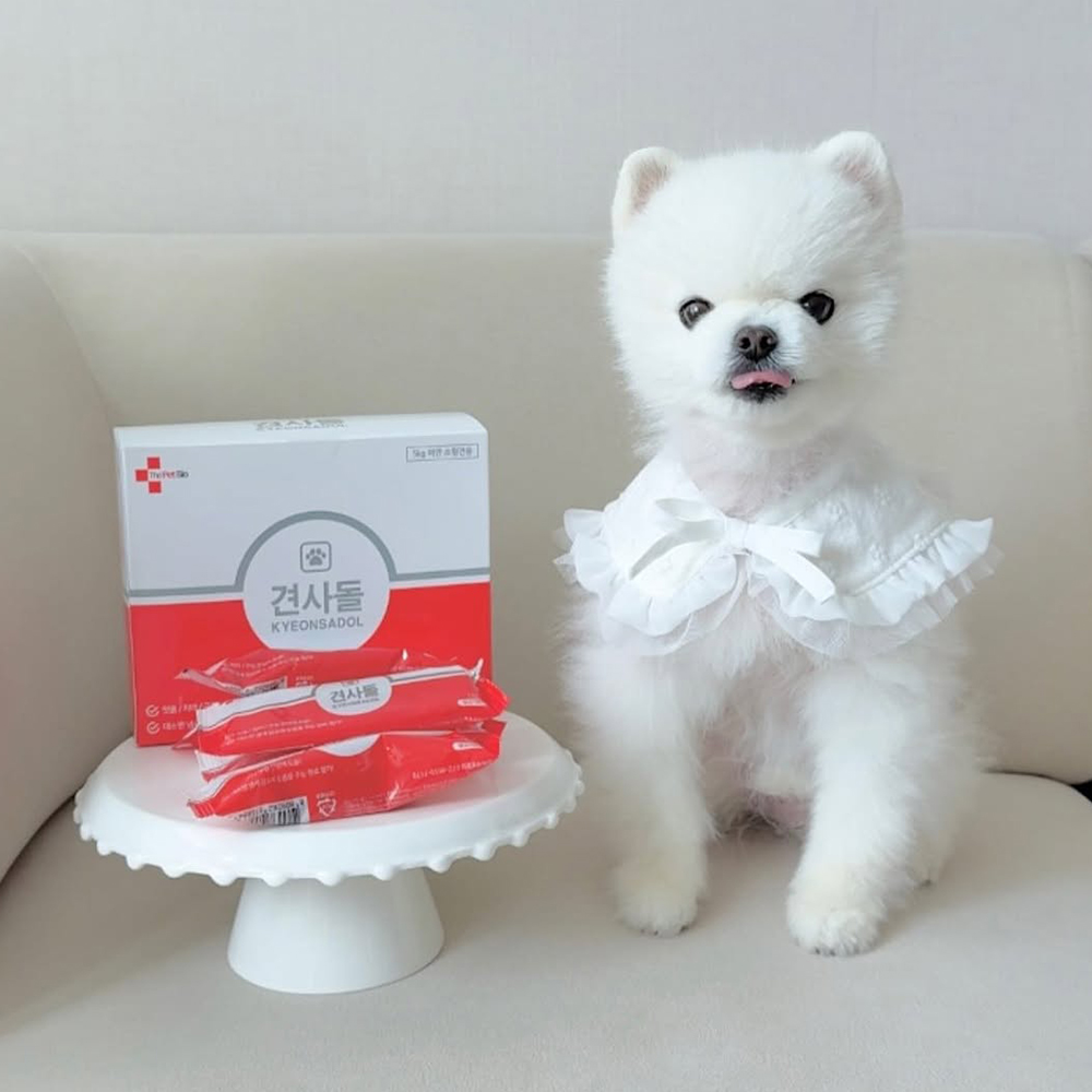 강아지 덴탈껌 견사돌 치석제거 강아지 영양제 반려견 구강관리