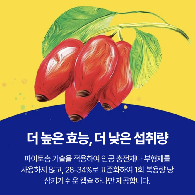 엔자이메디카 흡수율 9.6배 향상 파이토좀 베르베린 파이토솜 60캡슐 3병