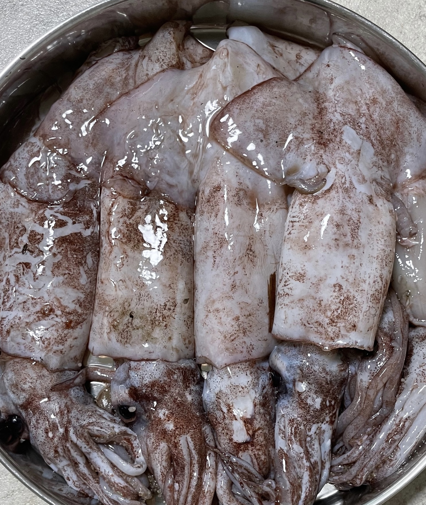 제철 동해안 손질 오징어 갈고리 흰오징어 속초 대왕꼴뚜기 - 상세 이미지 2