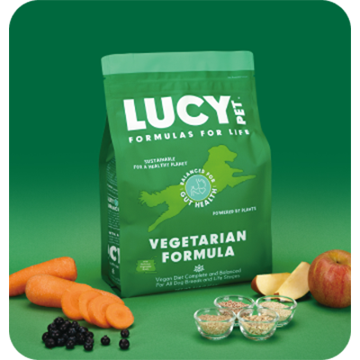 강아지사료 베지테리언 포뮬러 2.27kg 장건강 다이어트 프리바이오틱스 황금변 루시펫 이미지 2