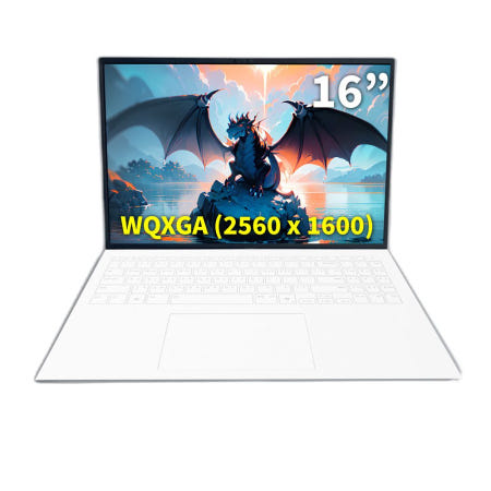 LG그램 프로 16Z90TR-SD79K (SSD256GB추가) 한컴오피스 제공 NT