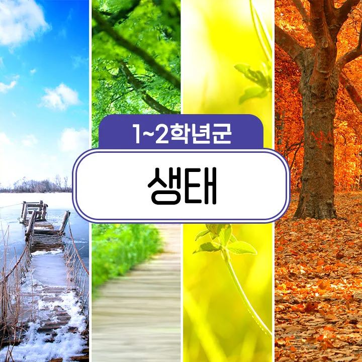 [국립과천과학관 곤충생태관] 초등 저학년 어린이 교과연계 체험 학습 도슨트 해설 주말 수업 by 스쿨김영사 - 상품 이미지