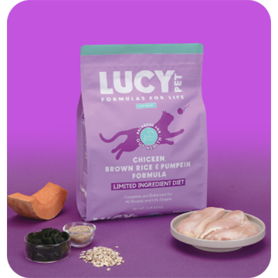 [샘플] 고양이사료 치킨 현미 호박 LID 장건강 프리바이오틱스사료 황금변 루시펫 이미지 3