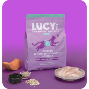 [샘플] 고양이사료 치킨 현미 호박 LID 장건강 프리바이오틱스사료 황금... 솔직 후기 | 실제 사용자 리뷰 총정리 - 상품 이미지 3