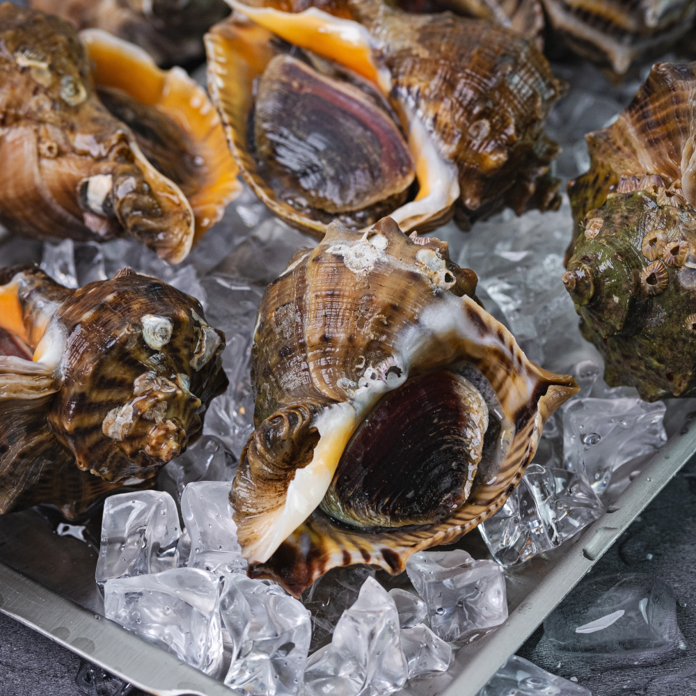 태안 자연산 참소라 1kg 당일조업 빙장포장 - 상품 이미지