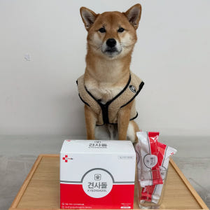 4+1 견사돌 강아지간식 닭고기 치석제거 덴탈껌 영양제 개껌 이벤트 솔직 후기 | 실제 사용자 리뷰 총정리 - 상품 이미지 3