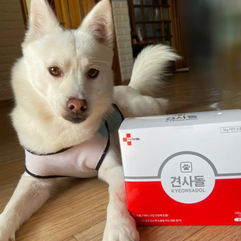 [4+4]견사돌 8박스 강아지간식 닭고기 치석제거 덴탈껌 영양제 개껌 - 상세 이미지 4