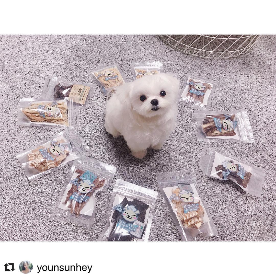 봉구의간식 강아지 고양이 반려견 펫푸드 닭연골 애견 애묘 천연 수제간식 말랑닭오도독 35g 이미지 8