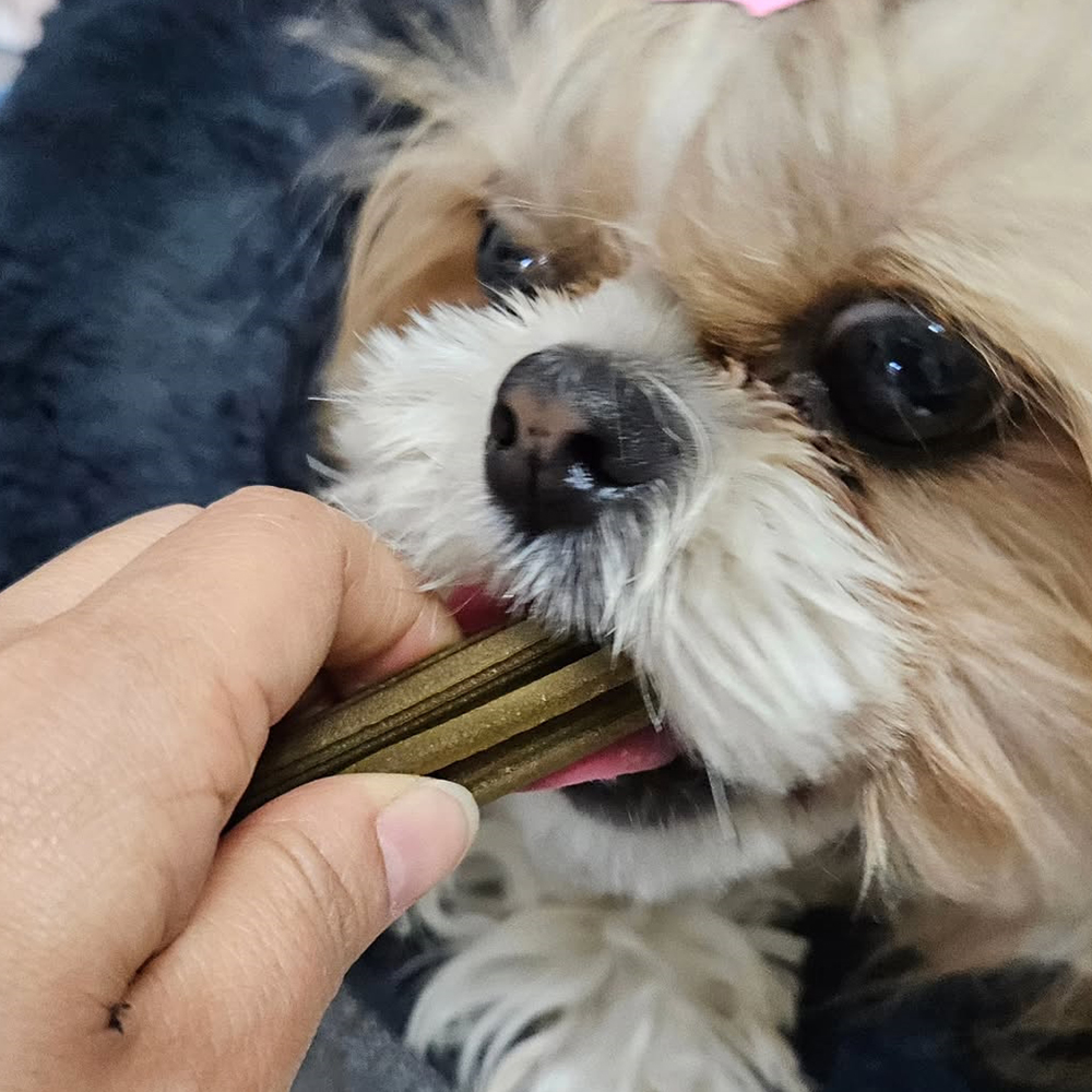 [2박스]견사돌유니버스 강아지 간식 소형견 황태 치석제거 영양제 12gX30포 - 상세 이미지 5