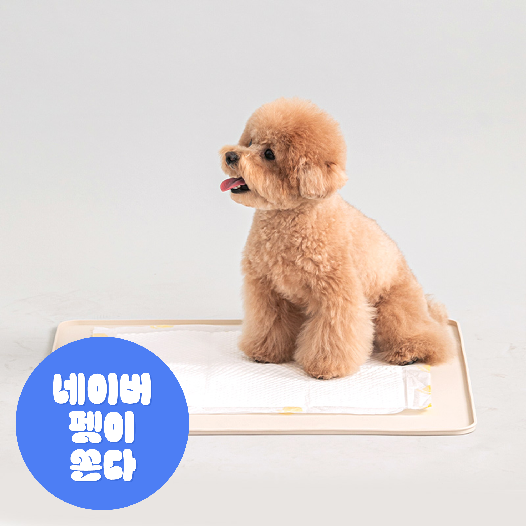바잇미 실리콘 배변매트 강아지 강아지화장실패드