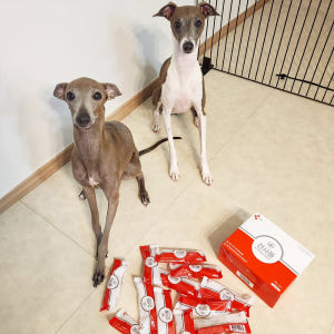 4+1 견사돌 강아지간식 닭고기 치석제거 덴탈껌 영양제 개껌 이벤트 솔직 후기 | 실제 사용자 리뷰 총정리 - 상품 이미지 2