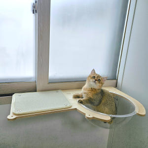 캣돌 고양이창문 해먹 창틀 윈도우 냥틀 소형 투명해먹 카펫미포함 3col... 솔직 후기 | 실제 사용자 리뷰 총정리 - 상품 이미지 4