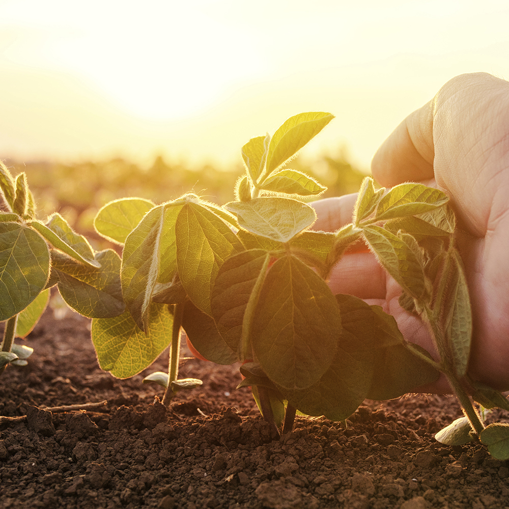 아기비타민D 유아 어린이 임산부 돌아기 드롭 액상 비타민D3 400IU