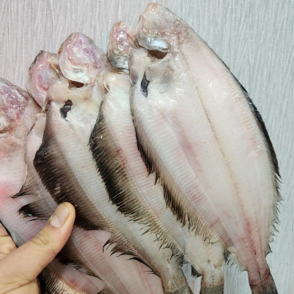 국산납세미 마른 말린 반건조가자미 미주구리 기름가자미 동해 국내산손질 물가자미 납새미 가지미 가재미 가제미 - 상품 이미지
