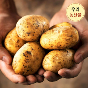 강원도 햇 감자 포슬포슬 수미감자 왕특 5kg 산지직송 맛있게 먹은 솔직 후기 - 상품 이미지 1