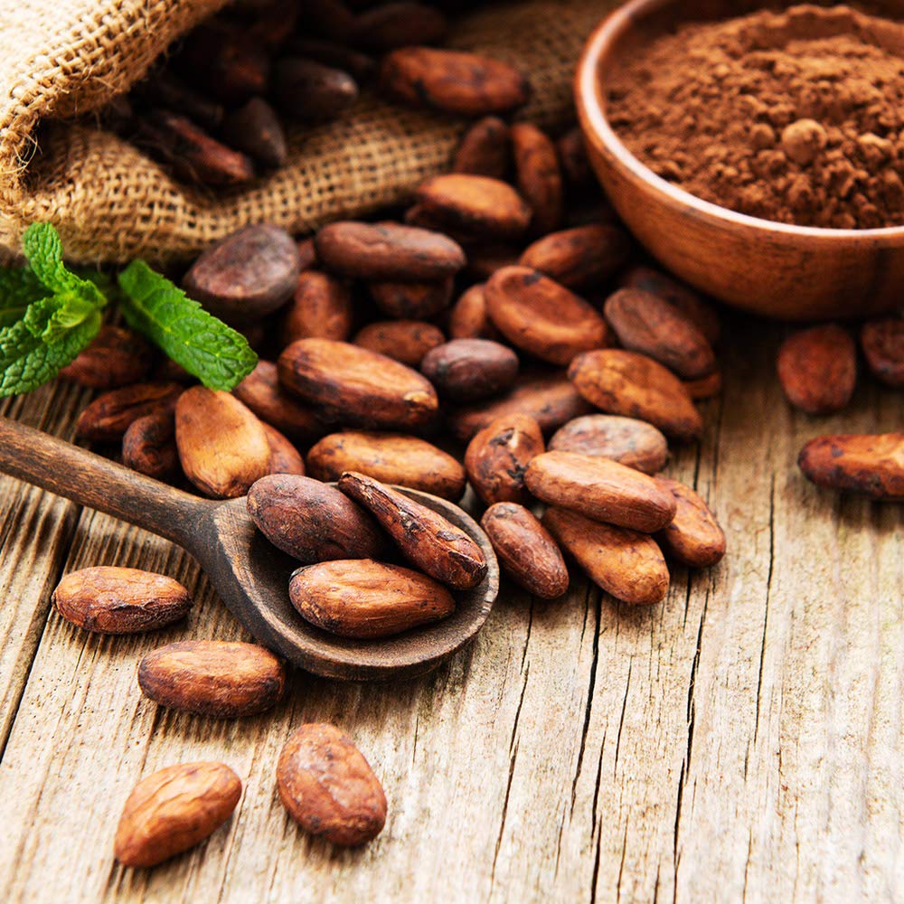 Kevala Raw Cacao Beans 케발라 생 카카오 콩 16oz(453g) 6팩 - 상세 이미지 2