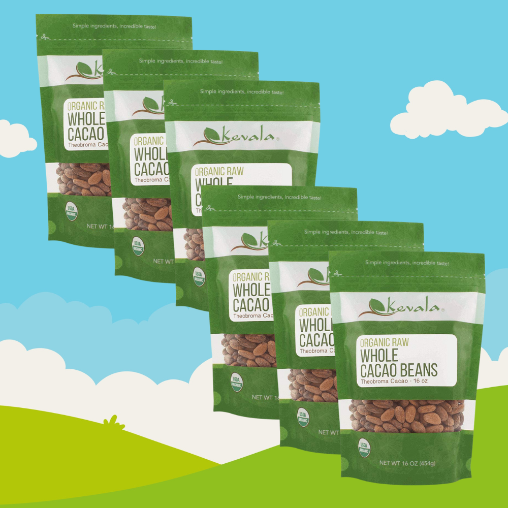 Kevala Raw Cacao Beans 케발라 생 카카오 콩 16oz(453g) 6팩 - 메인 이미지
