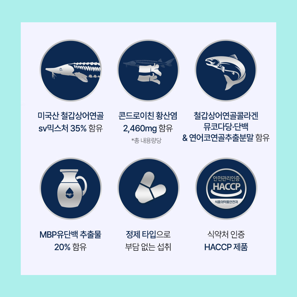 [런칭 특가] 철갑상어 연골 콘드로이친 플러스 식약청 HACCP 인증 60정 - 상세 이미지 4