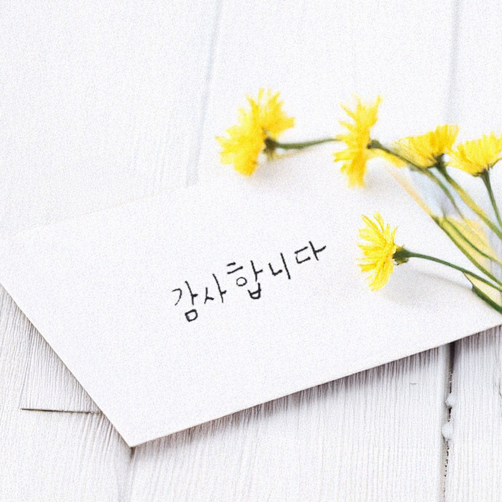 고급 화이트 메세지카드 풀세트 엽서 생일 선물 미니 심플 기본 무지 감사 - 상세 이미지 4
