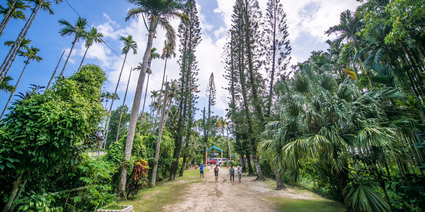 [사이판] 정글투어 타포차우산 제프리비치 야외성당 열대과일포함 픽드랍포함