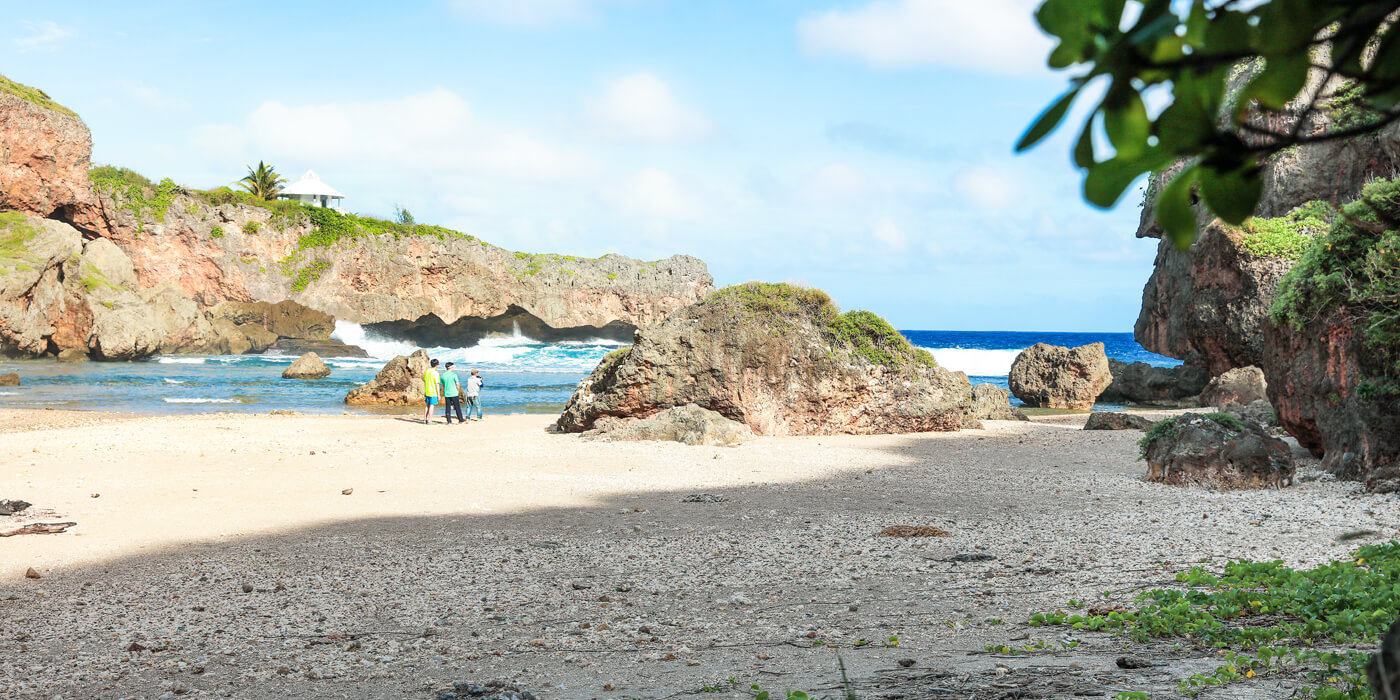 [사이판] 정글투어 타포차우산 제프리비치 야외성당 열대과일포함 픽드랍포함