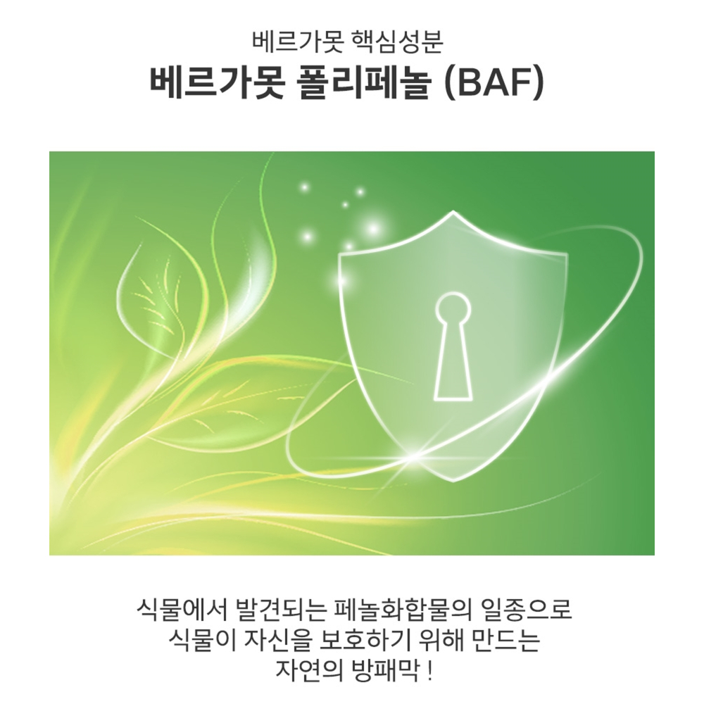 베르가못 폴리페놀 베르가못추출물 베르가못모로오렌지 베르가뭇 이미지 8