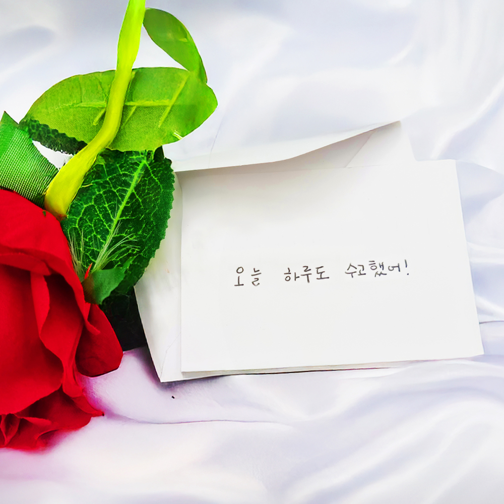 고급 화이트 메세지카드 풀세트 엽서 생일 선물 미니 심플 기본 무지 감사 - 상세 이미지 2