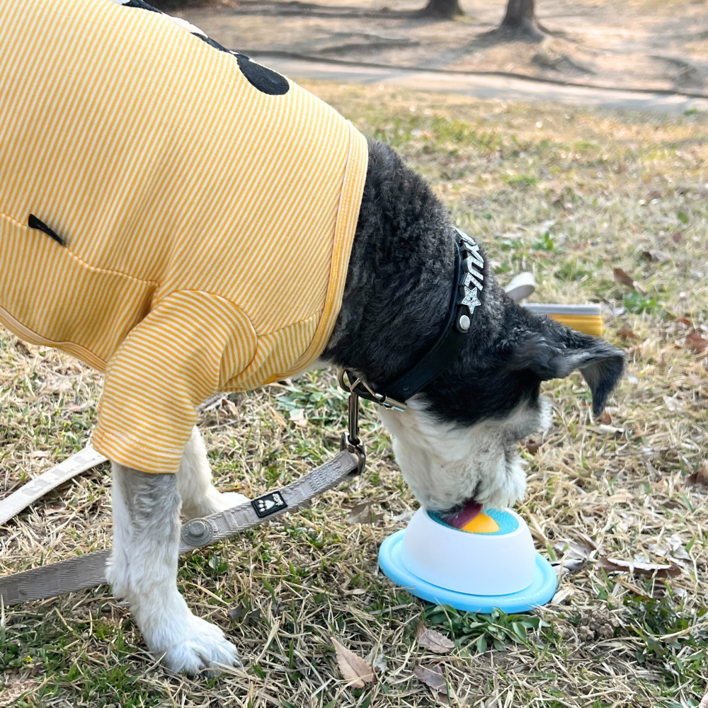 뚜담펫 강아지 고양이 츄르 급체 방지 슬로우 식기 밥그릇 간식 그릇 - 상세 이미지 5