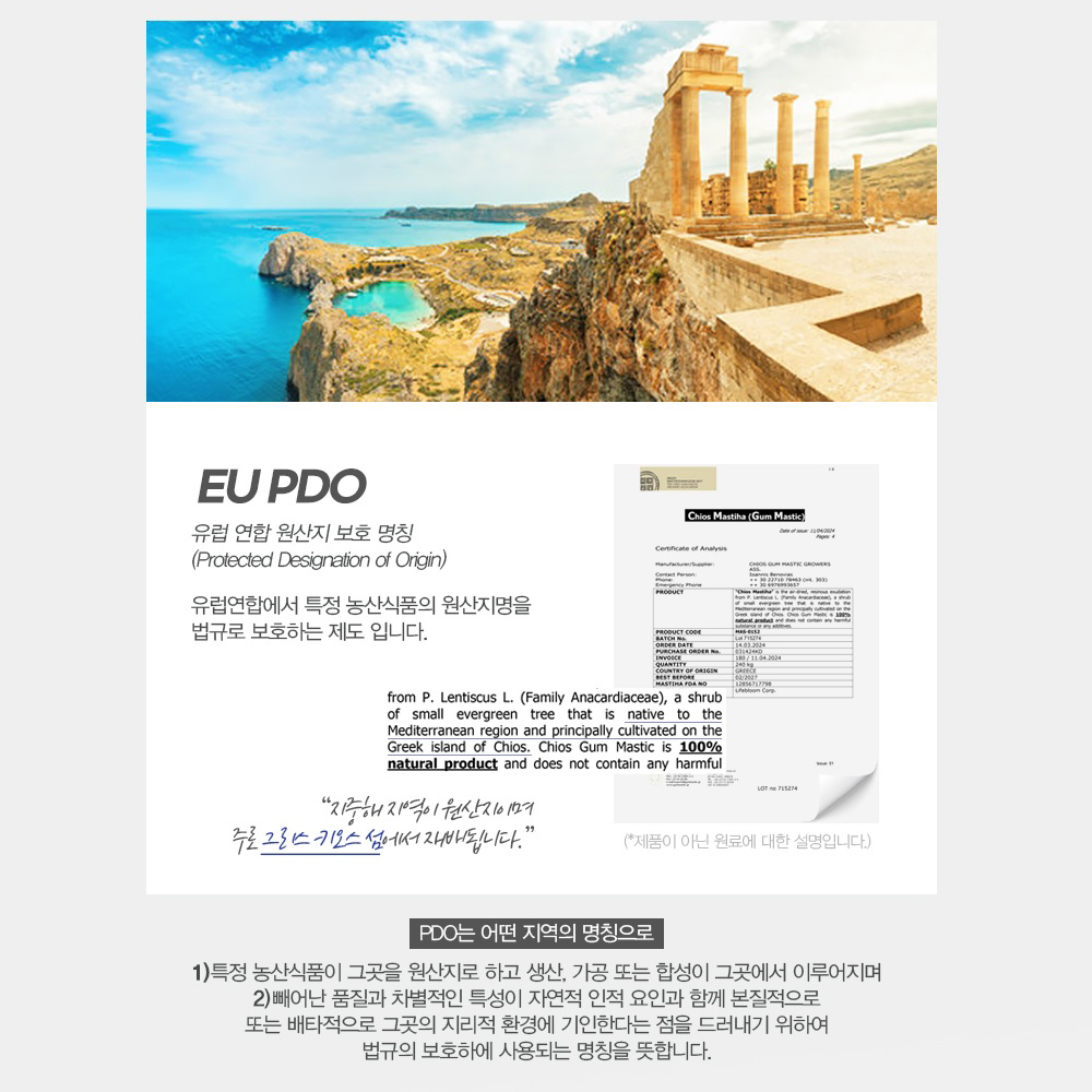 매스틱 유산균 사균체 양배추 브로콜리 L 플란타럼 90정, 1개 - 상세 이미지 5