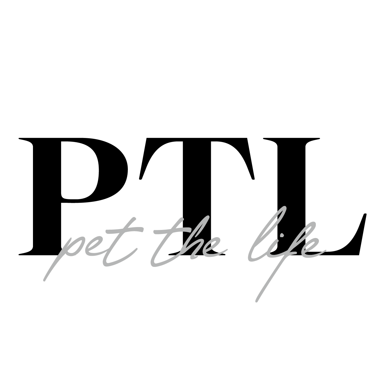 피티엘 PTL 스토어 로고