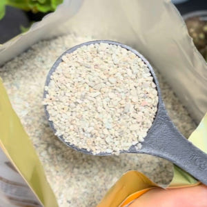 토탈싹 입제 1.5kg 친환경 병해충 관리제 ( 토양살충제 살균제 농약 ... 실사용 후기 | 효과 있을까? - 상품 이미지 3