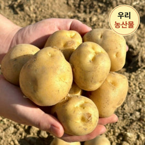 강원도 햇 감자 포슬포슬 수미감자 왕특 5kg 산지직송 맛있게 먹은 솔직 후기 - 상품 이미지 4