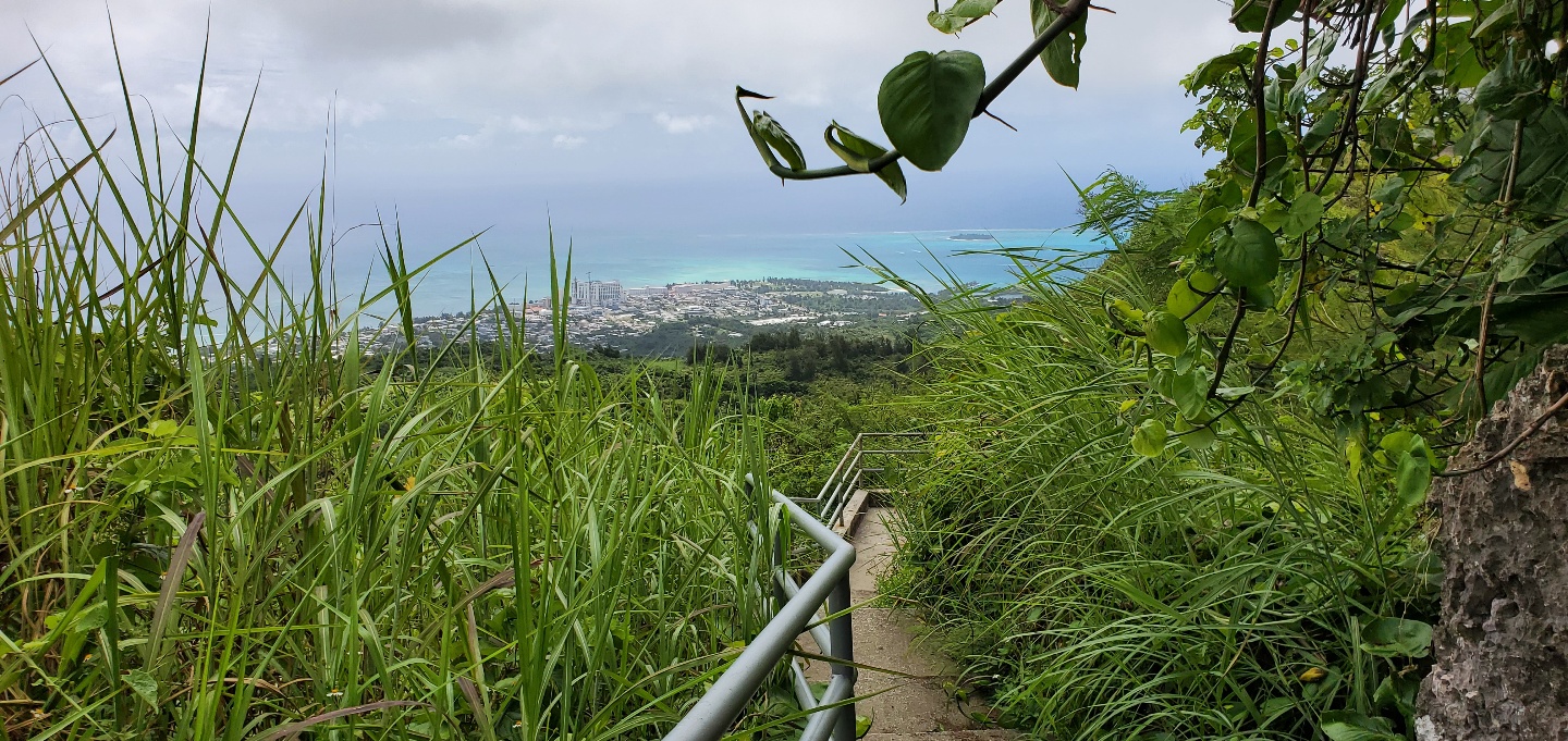 [사이판] 정글투어 타포차우산 제프리비치 야외성당 열대과일포함 픽드랍포함