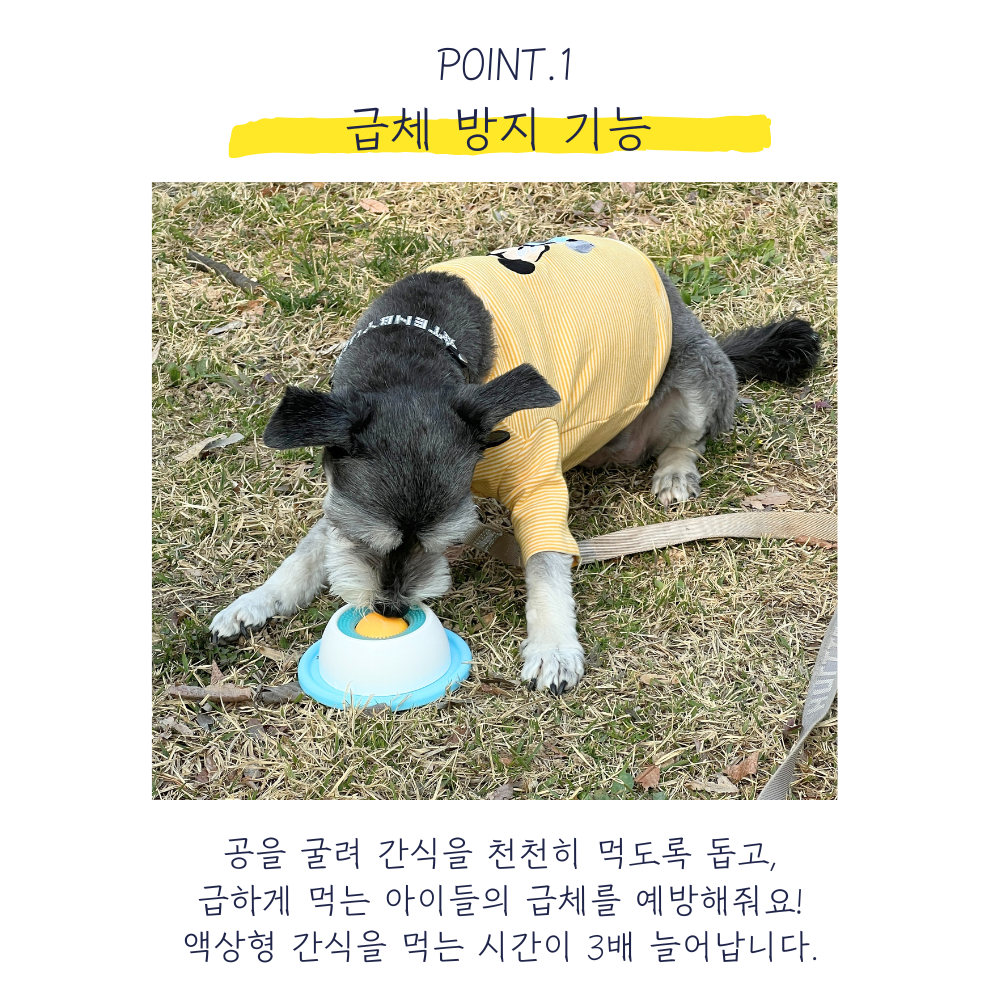 뚜담펫 강아지 고양이 츄르 급체 방지 슬로우 식기 밥그릇 간식 그릇 - 상세 이미지 2