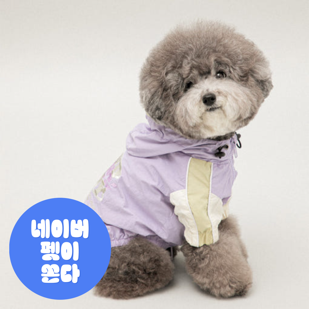 [마지막 재고] 바잇미 런데이 윈드브레이커 소형견 강아지 옷 바람막이 아웃도어 커플룩 (3 colors) 제품 이미지